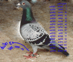 الصورة الرمزية الموج